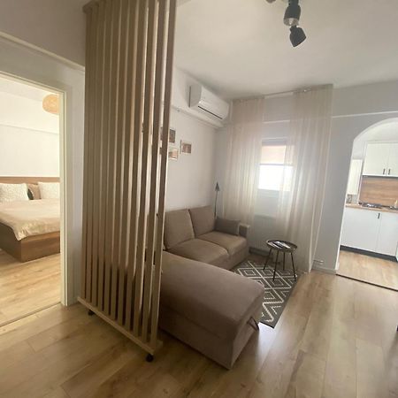 Doinei Cozy Flat Apartman Temesvár Kültér fotó